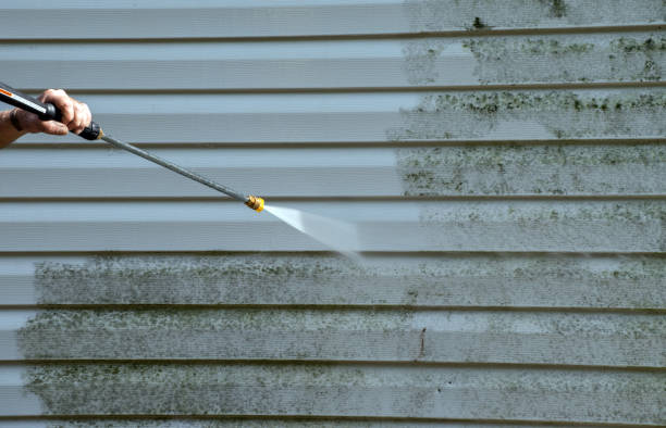 Best Sidewalk Pressure Washing  in Harristown, IL