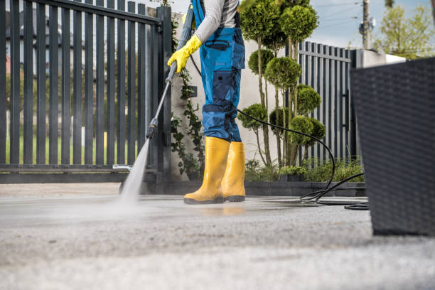 Best Deck Cleaning Services  in Harristown, IL