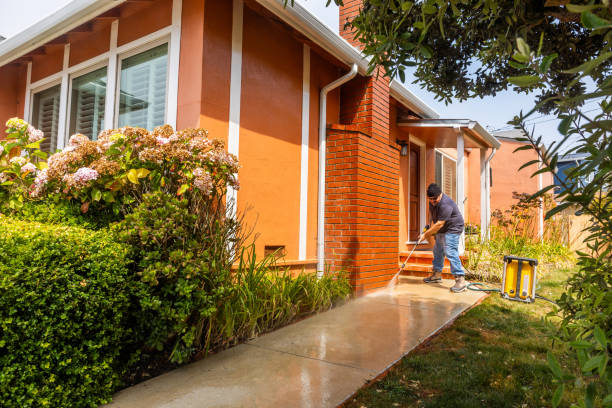 Best Fence Pressure Washing  in Harristown, IL
